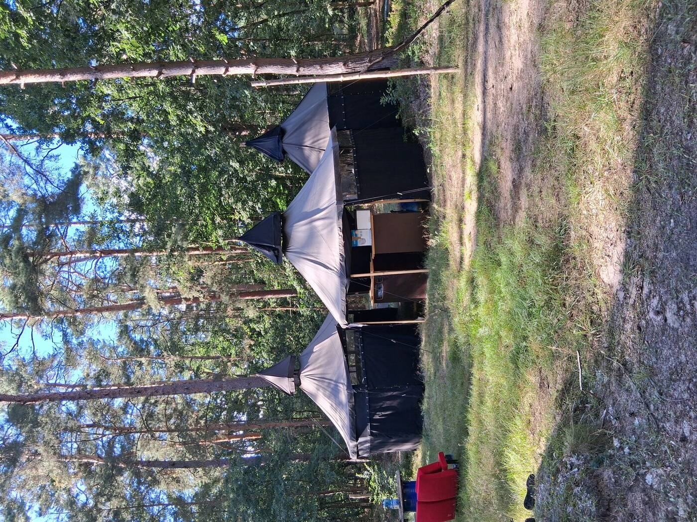Drei schwarze Jurten im Wald als Schwarzzelt für Festival und LARP in Brandenburg